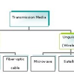 Description of Transmission Media